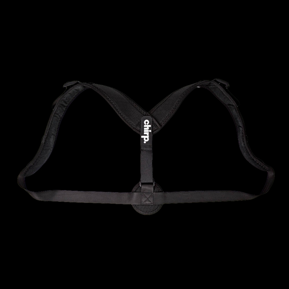 Chirp upper back posture support